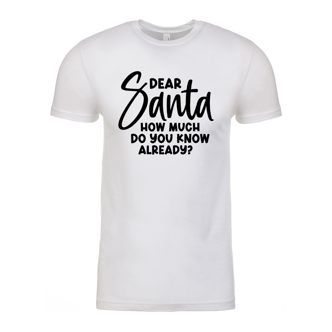 Dear Santa - White Unisex Tee