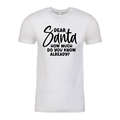Dear Santa - White Unisex Tee